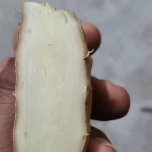 瑞丽市白姜 生姜，缅甸青姜大量供应，诚信经营，顾客的满意就是我的动力