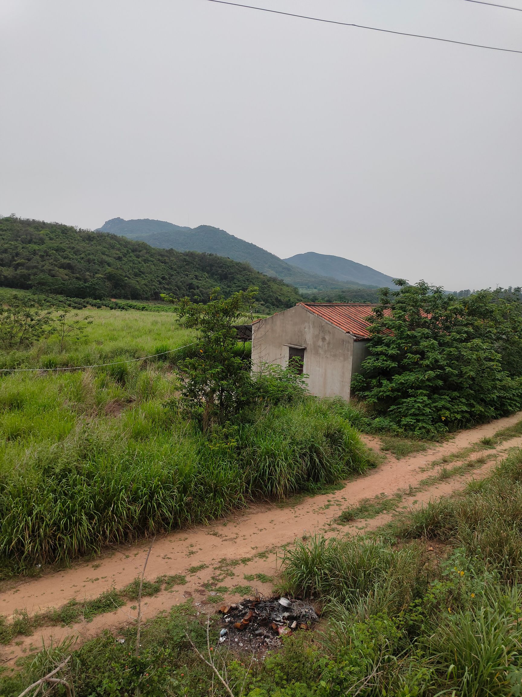 疏林地  海南省东方市 土地出租资源 长期短期，应有尽有