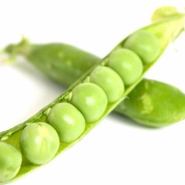 甜豌豆 青豌豆规格5cm 以上
