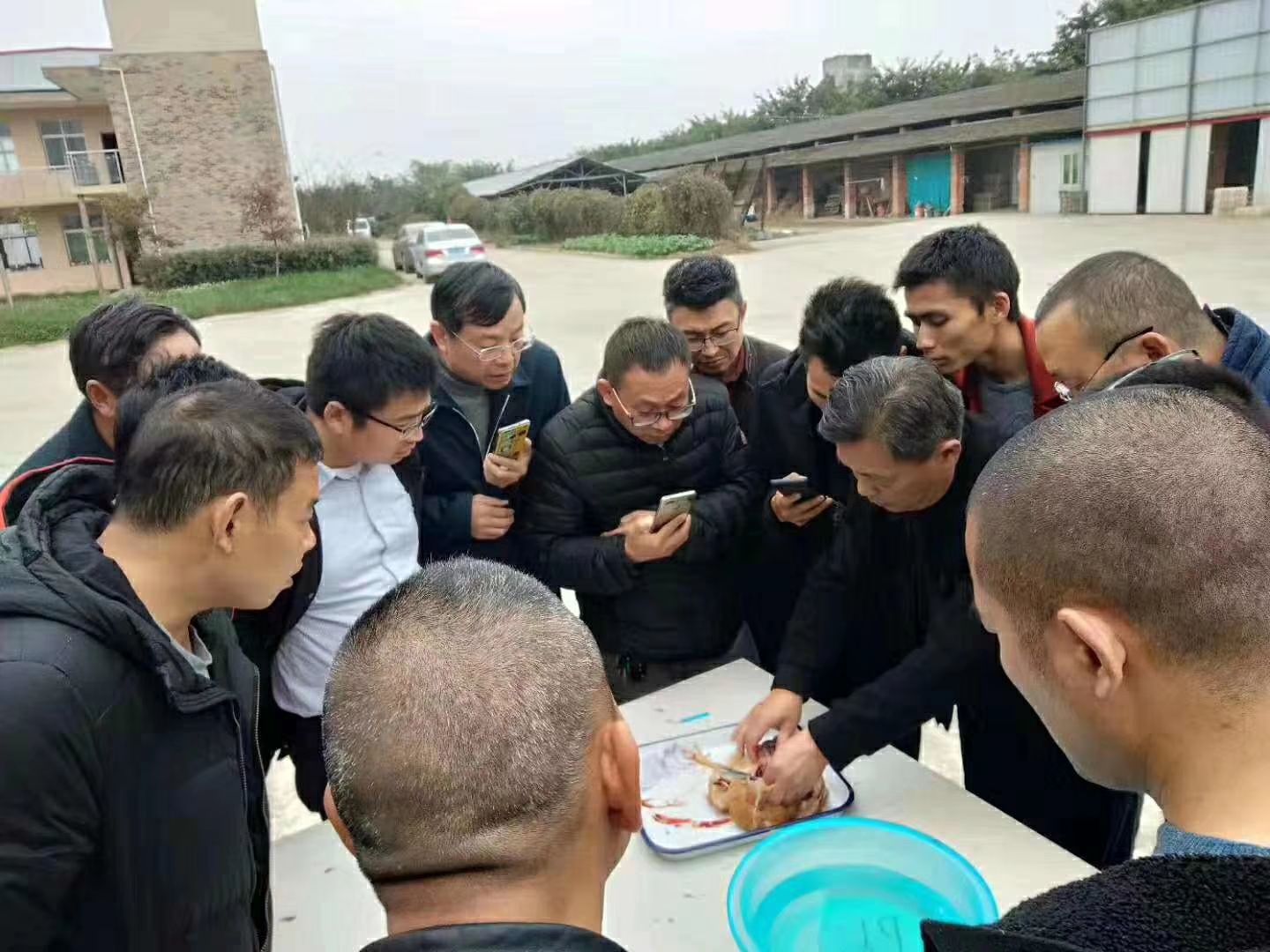 咨询服务  养殖技术培训养鸡技术养鸭技术养鹅技术