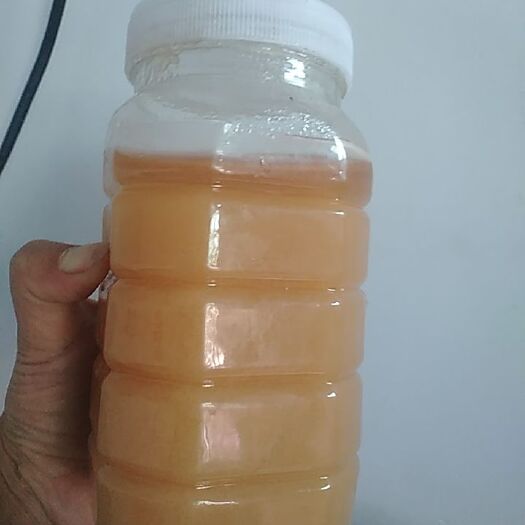 巩义市 土蜂蜜波美度41现货