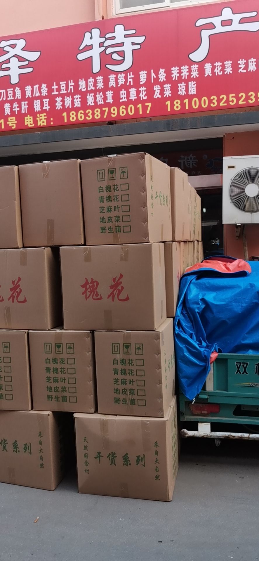  2021年脱水洋槐花新货精品供应全国