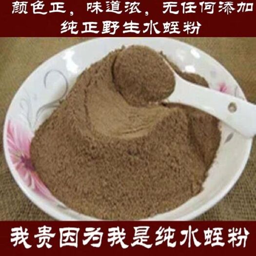 干水蛭 中药材 水蛭粉 正品水蛭粉  清水蚂蝗现磨粉包邮 送
