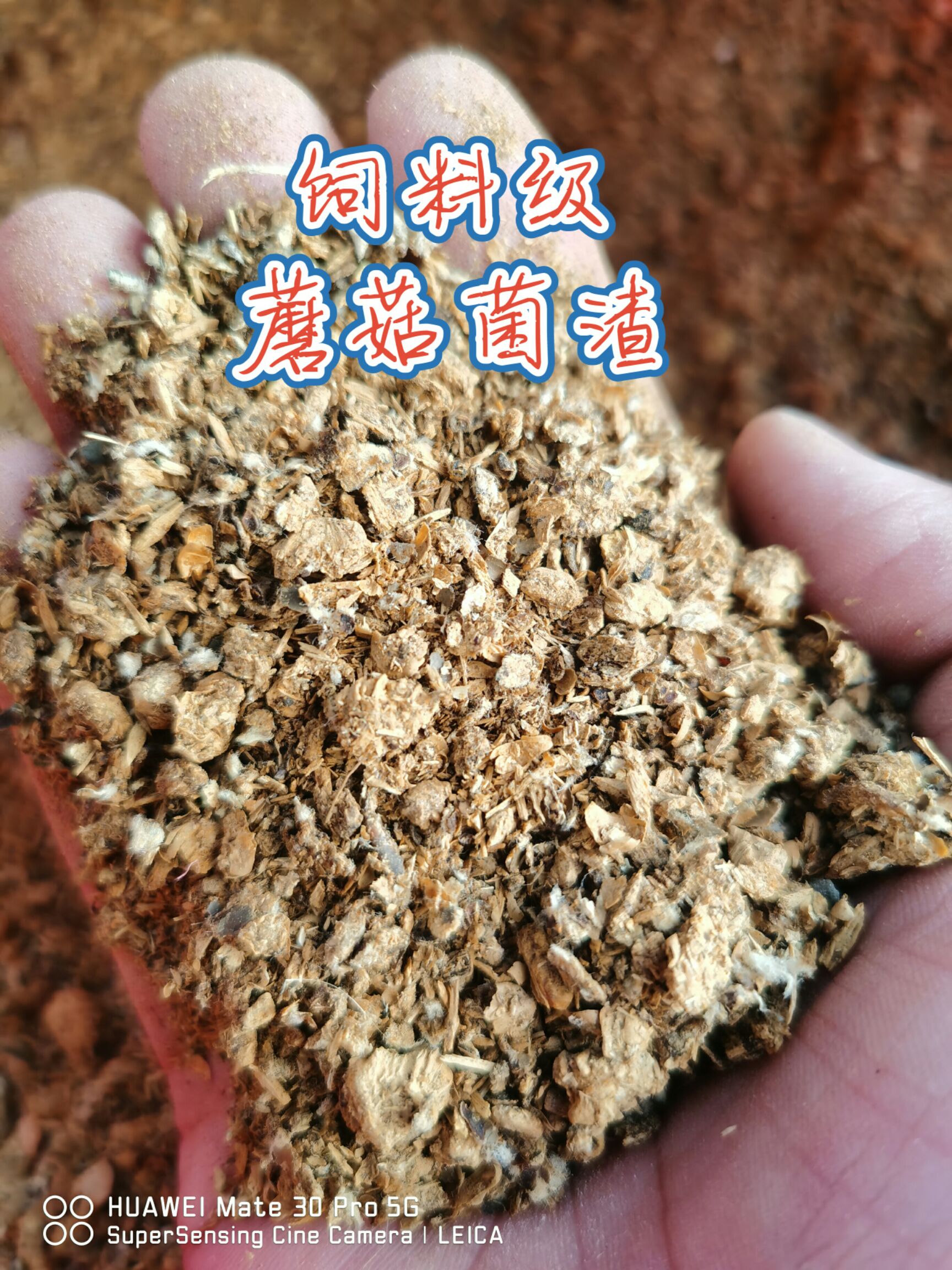 蘑菇废料，晒干蘑菇渣