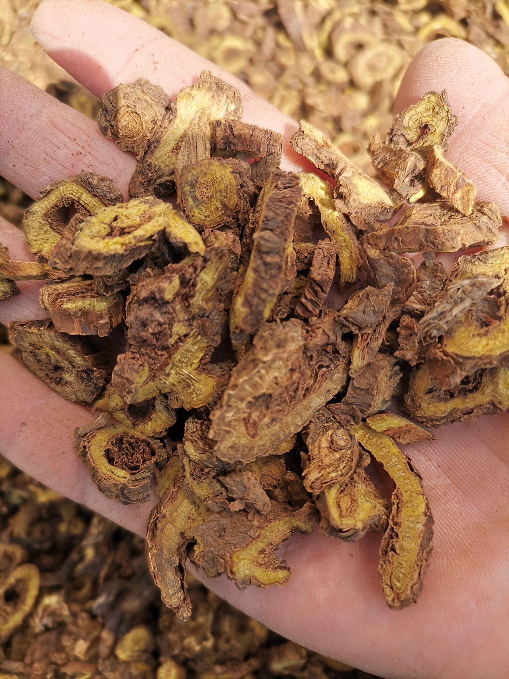 黄芩  内蒙  枯芩  高含量  自然生长  2斤起包邮