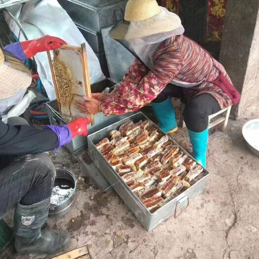 成都蜂巢蜜批发盒装木架铁框箱装蜂巢蜜跑江湖地摊展会货源批发