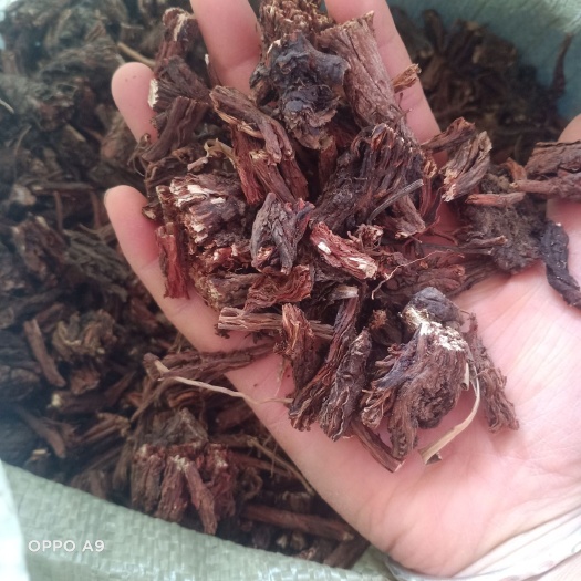 紫花丹参  一生丹参手工片产地批发500克包邮