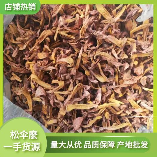 隆化县红菇 干货 野生 已开伞