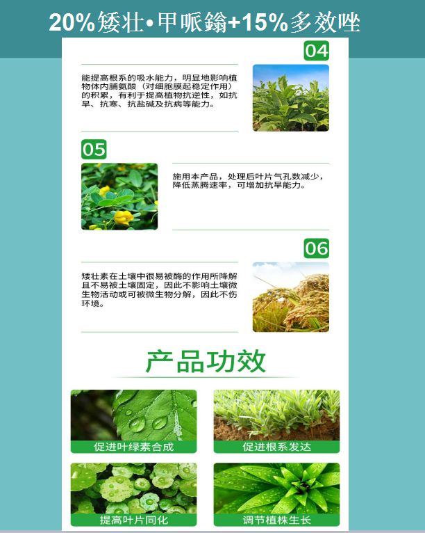 25%甲哌鎓+15%多效唑控旺壮株增产抗病抗逆生长调节