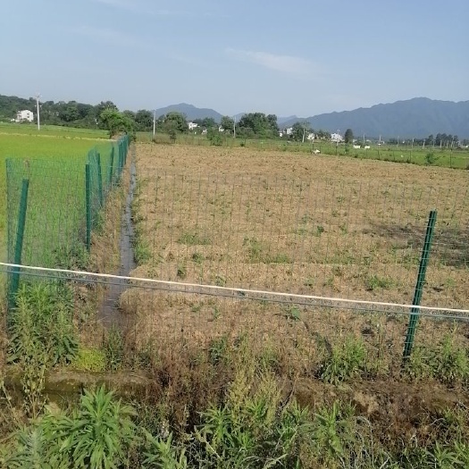 泰和县水田 入股 10~20年 500~1000亩