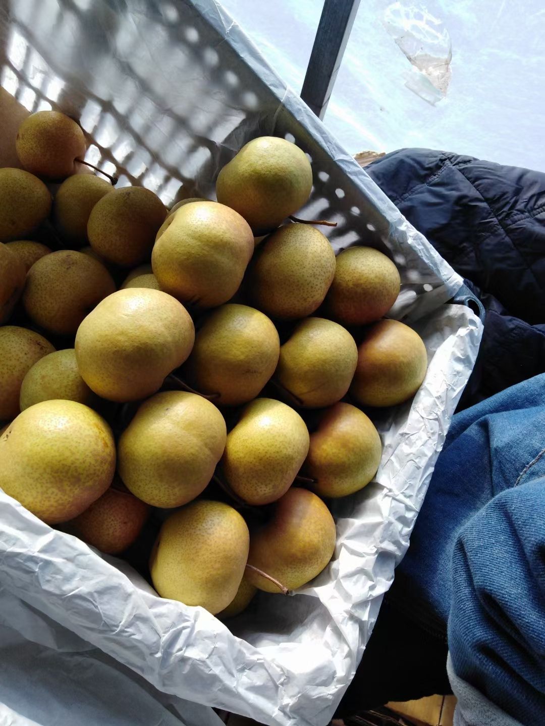 南果梨  花盖梨产地货源充足，价格略涨。