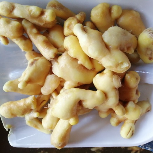 安丘市 泡姜（腌渍姜）