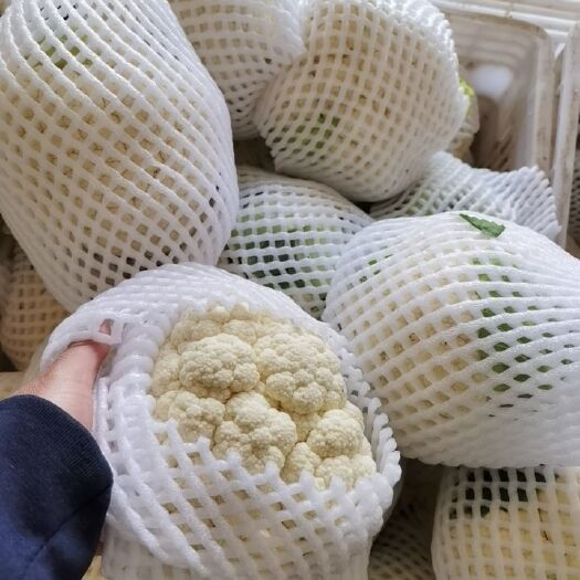 三原县白花菜花 紧密 陕西省咸阳市三原县 1~2斤 