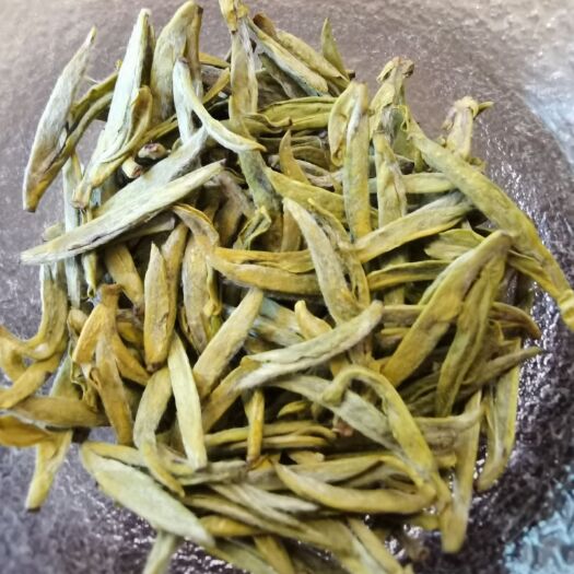 平阳县高山红豆杉生态茶园—平阳黄汤
