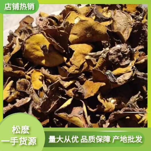 隆化县松蘑  蘑菇，松麽，粘团子，土信