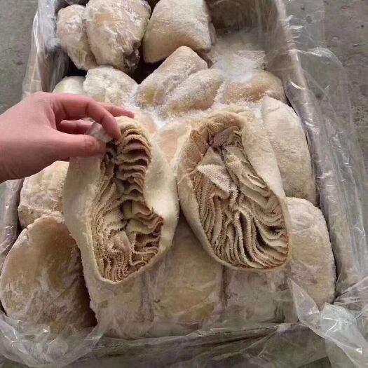 广州冷冻牛百叶