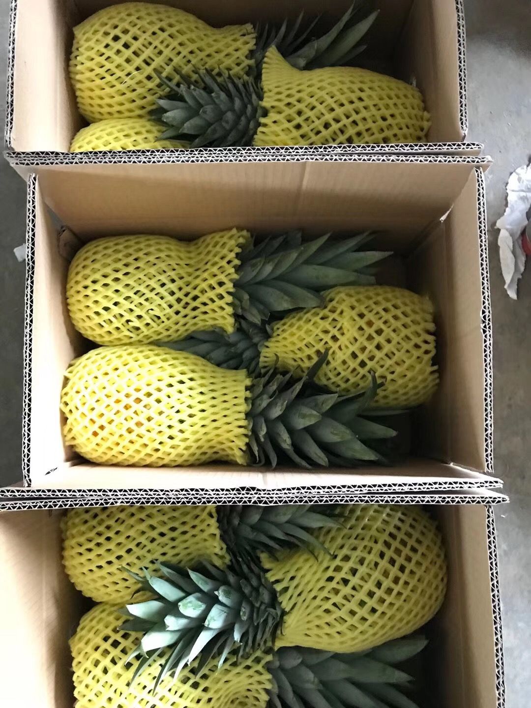 金钻凤梨  云南西双版纳牛奶凤梨一件代发3斤5斤9斤批发包邮