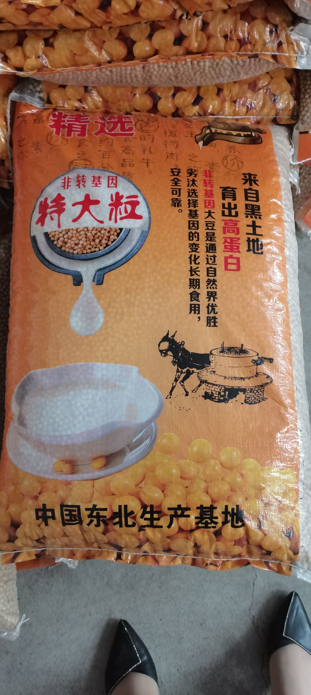 黄大豆  东北大豆大粒小粒，豆腐，豆脑豆腐皮专用大豆做烘焙