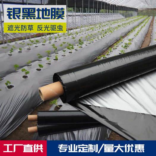 厂家直销银黑双色地膜银灰地膜银黑地膜银灰膜银黑膜反光膜