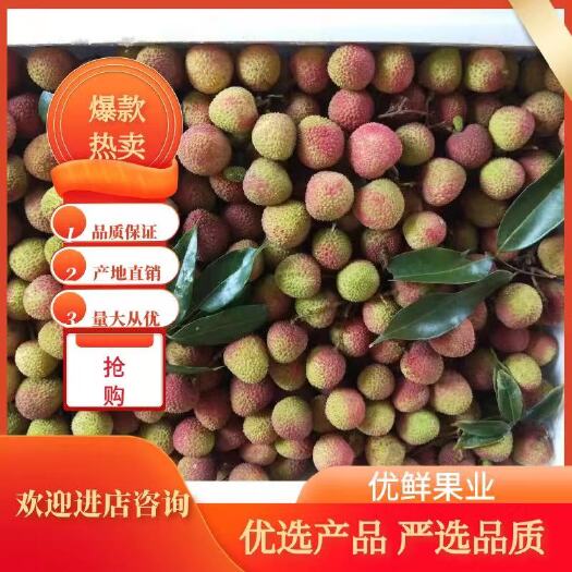 阳西县妃子笑荔枝  广东荔枝妃子笑，大量上市。欢迎全国客商，合作共