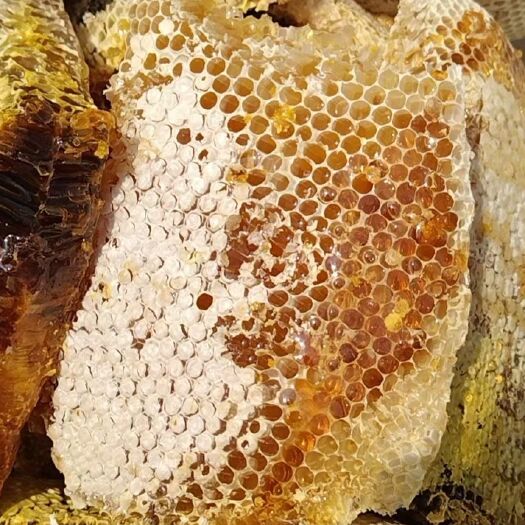 凤庆县云南临沧土蜂蜜