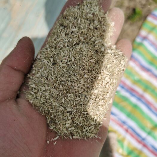 亳州黄蜀葵杆 颗粒 粉 兽用饲料 足浴粉  各种规格可加工