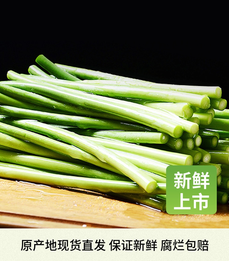 新鲜冷库蒜苔2斤装.3斤装.5斤装.10斤装斤装包邮