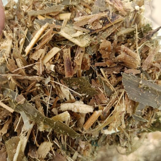 代县 优质玉米秸秆牧草