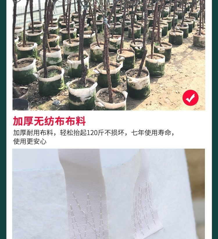 双耳70*50无纺布植树袋（10只）种植袋/植树袋/美植袋