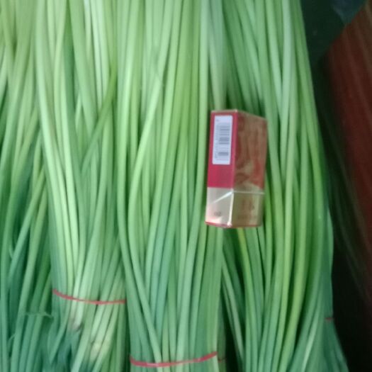 大荔县 红帽蒜薹