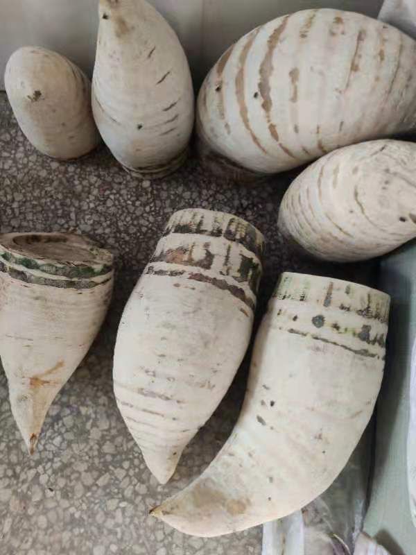  出售竹篼，楠竹篼