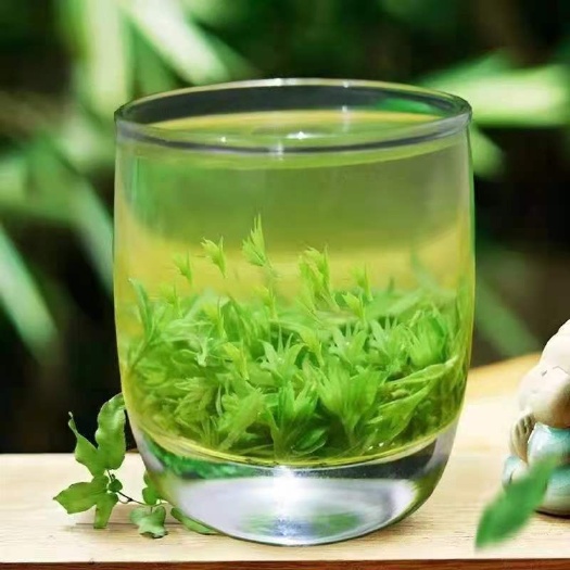 都匀市都匀毛尖小叶苦丁茶