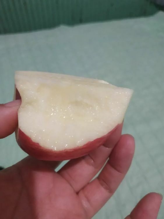红富士苹果【优选】陕西当季糖心丑苹果产地直发包邮新鲜当季水果
