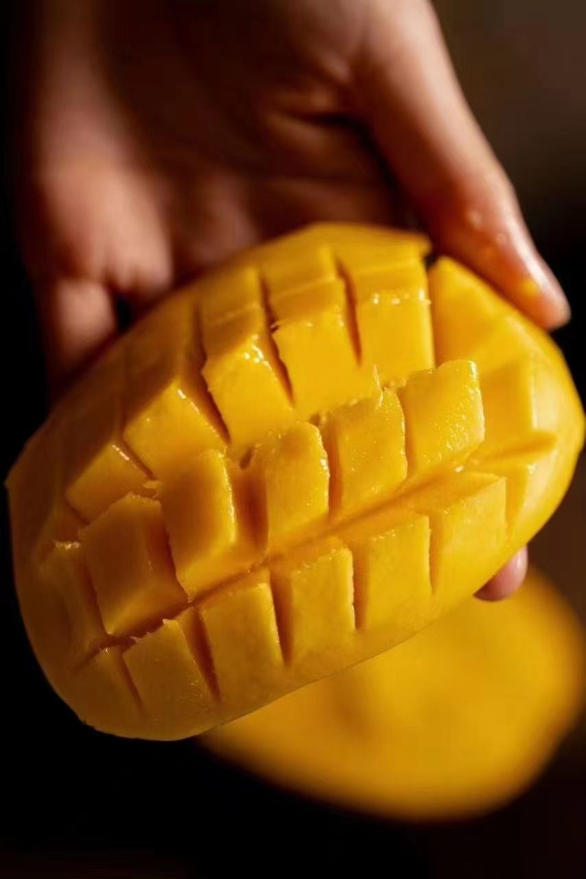  大量批发圣德龙芒果