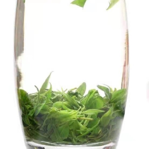 都匀市毛尖苦丁茶