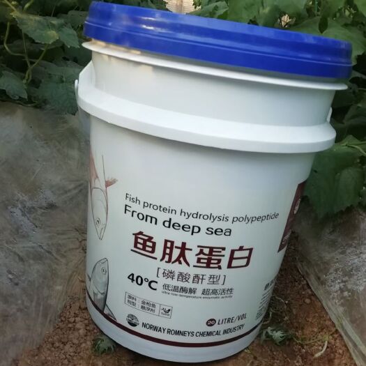 寿光市微量元素肥料  鱼肽蛋白桶装液体肥料调节土壤促进植株旺盛促进根系生长冲施肥