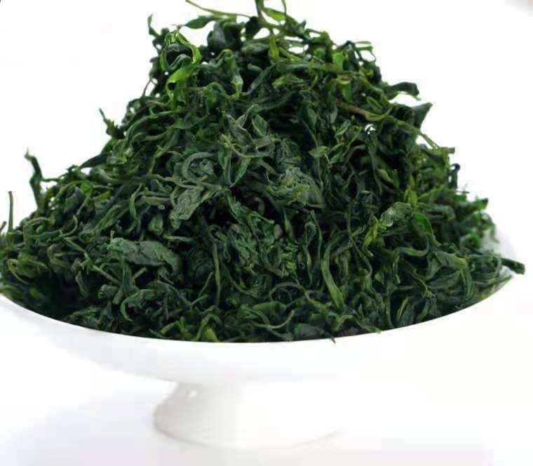 毛尖苦丁茶
