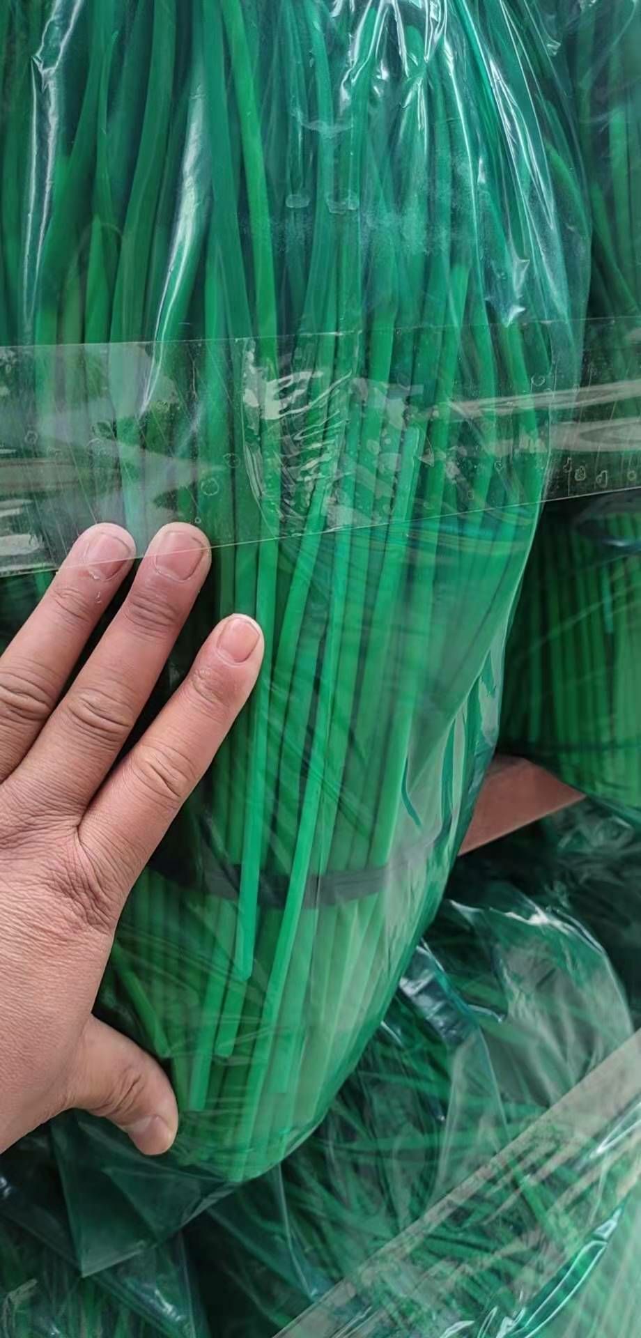 预冷小红帽蒜苔全国发货