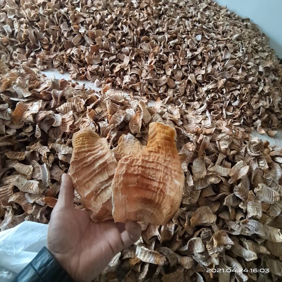  农家无硫笋干  白笋  玉兰片 嫩笋尖