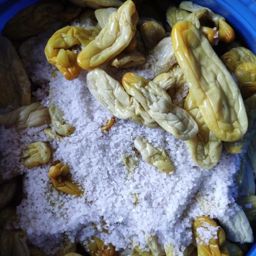灵山县白玉黄瓜 新鲜脆囗黄瓜皮