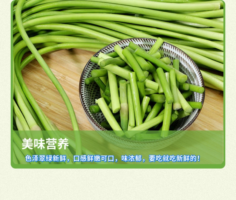 新鲜冷库蒜苔2斤装.3斤装.5斤装.10斤装斤装包邮