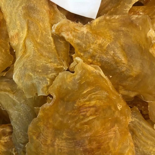 广州 顺风肚27头斗湖片花胶鱼胶鱼肚干货  批发零售
