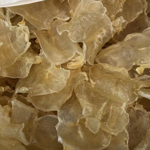 广州 加州白花胶35头 100头蝴蝶胶花胶鱼肚干货批发零售