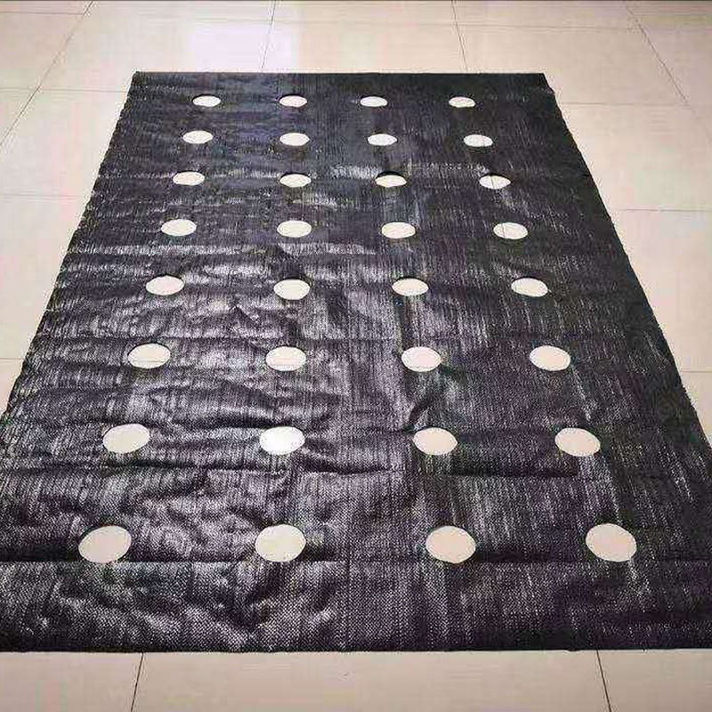 地膜打孔厂家直销辣椒天冬药材地膜白地膜黑地膜银黑打孔地膜