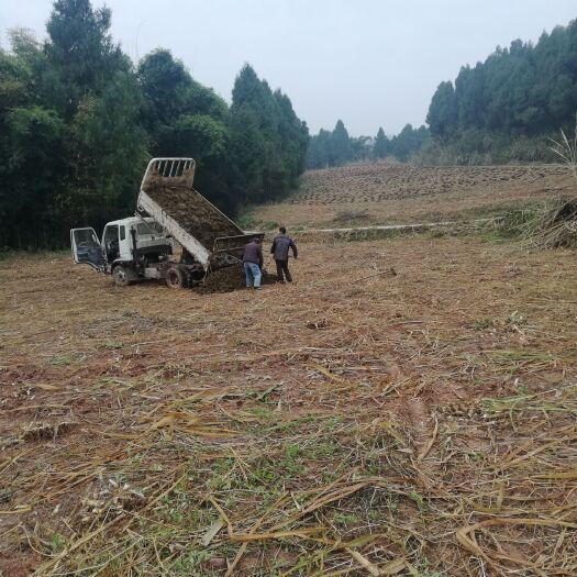 阆中市畜牧养殖用地 养殖场出租，代养，合作
