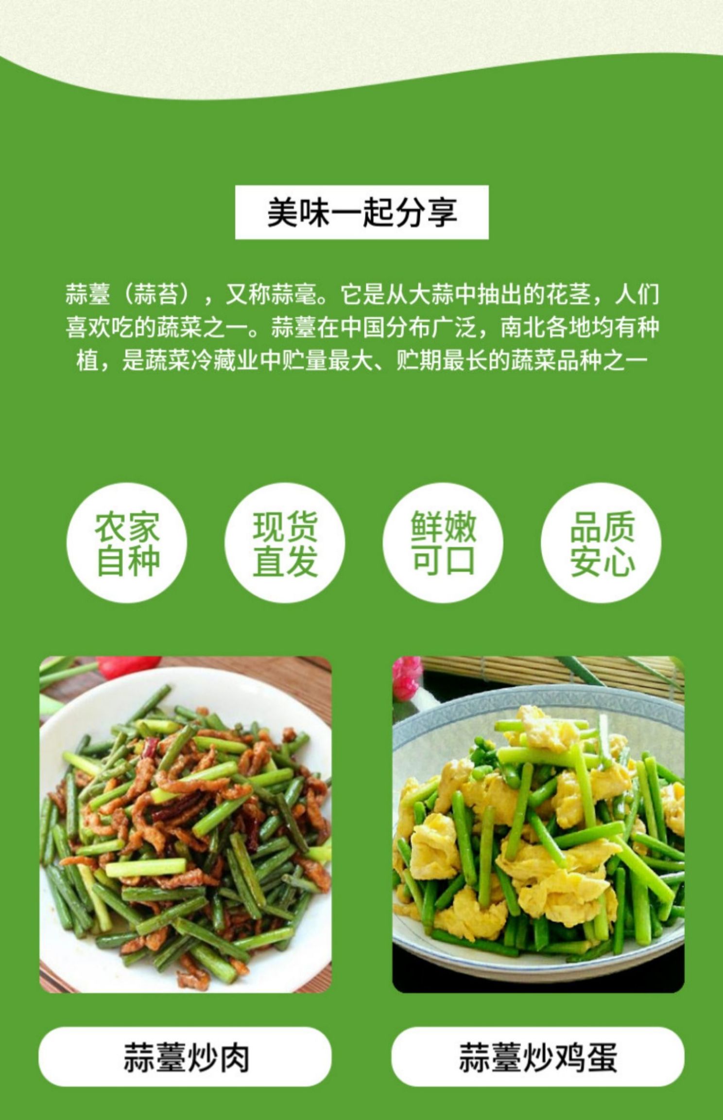 新鲜冷库蒜苔2斤装.3斤装.5斤装.10斤装斤装包邮