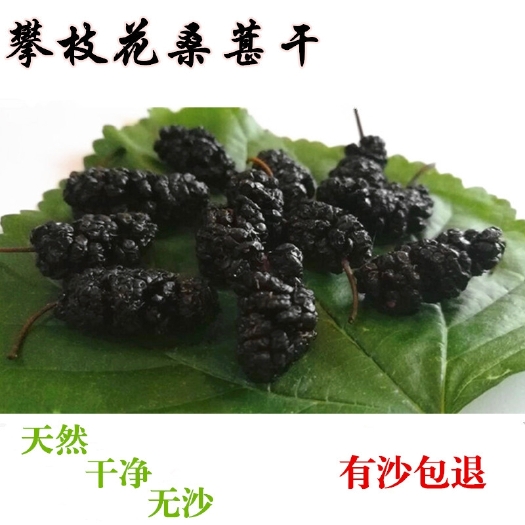 盐边县黑桑葚  四川攀枝花黑桑椹干，产地一手货源直供，干净无沙，口