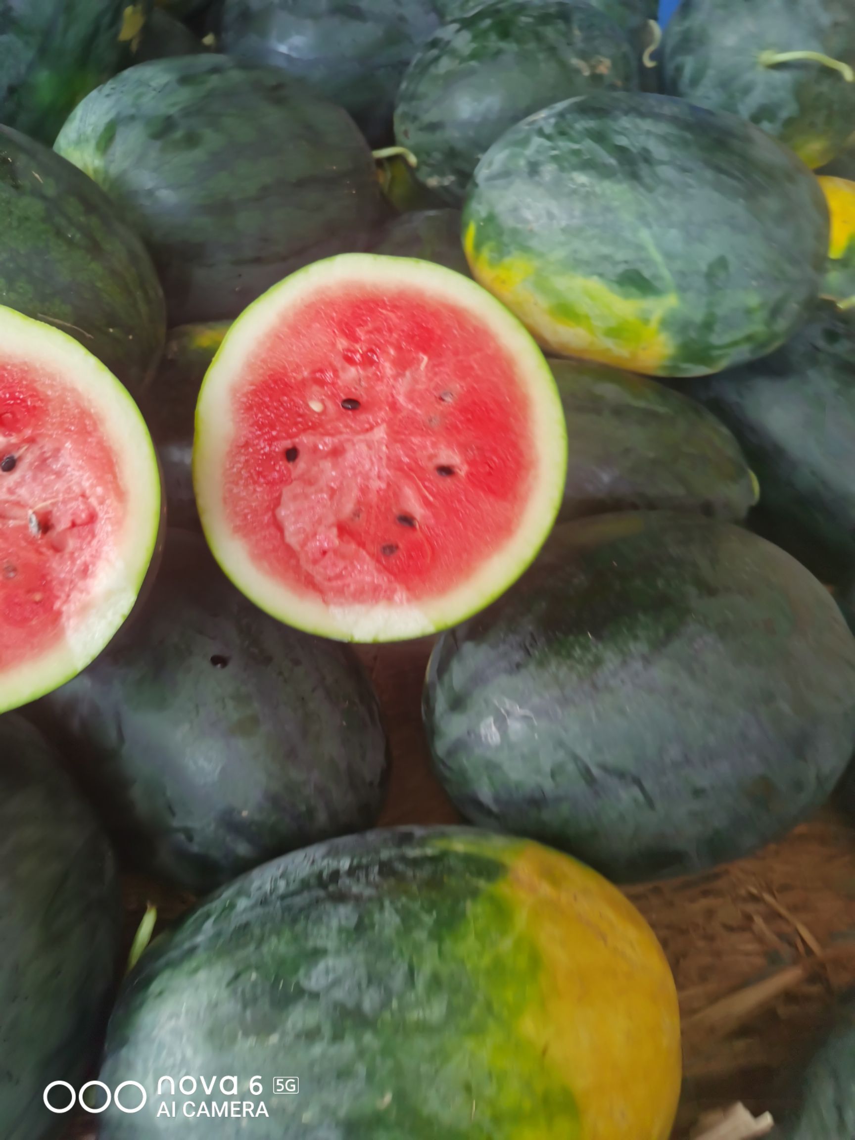 广西黑美人西瓜大量供应