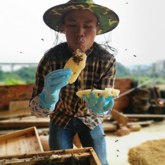 云霄县土蜂蜜  自家散养中华土蜜蜂自产蜂蜜龙眼蜜