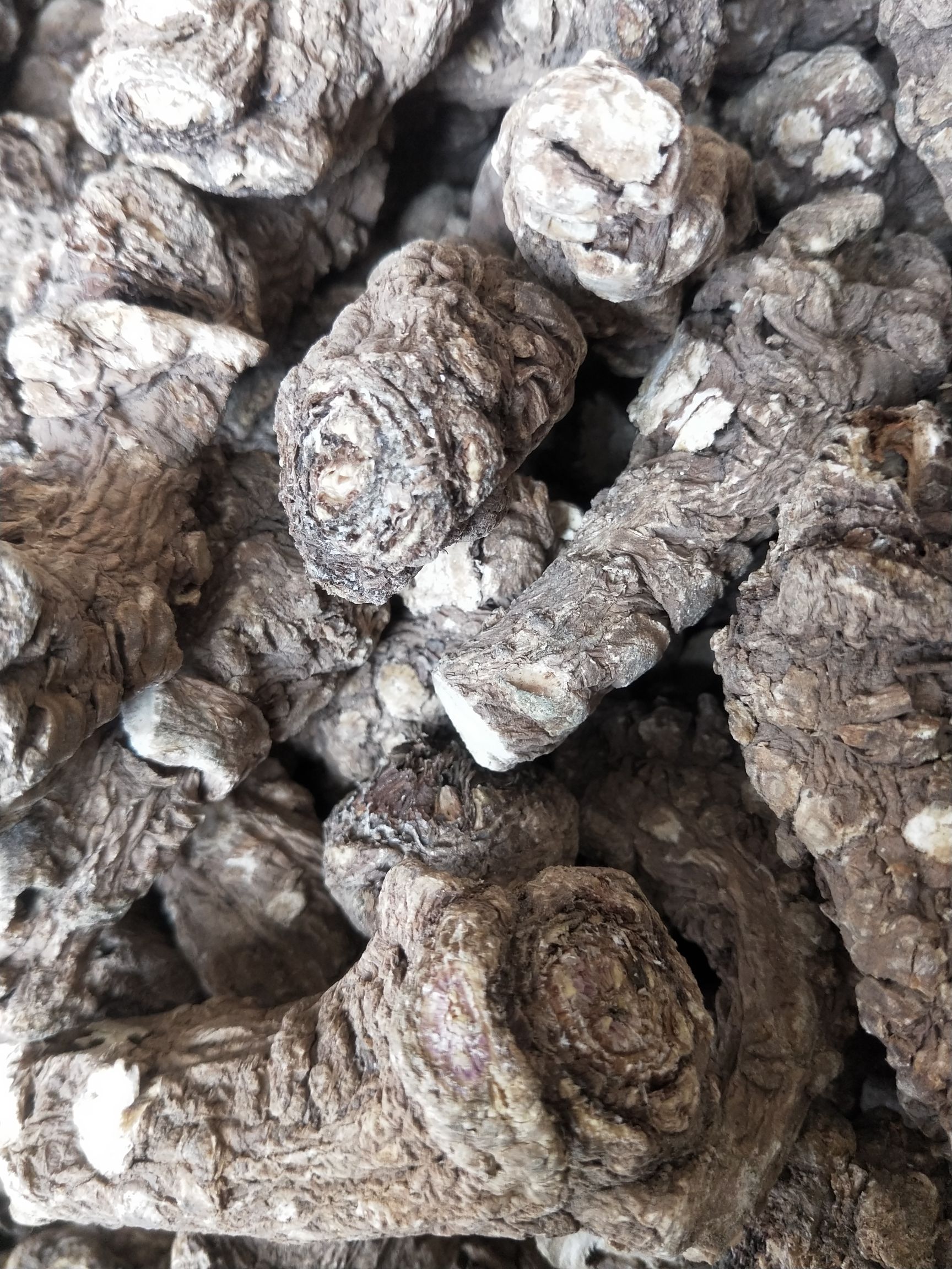 渭源县【当归头无硫光滑头】甘肃产地直供小中大当归头精选包邮